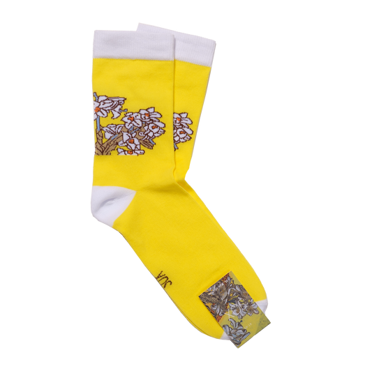 Socks "Flowers"