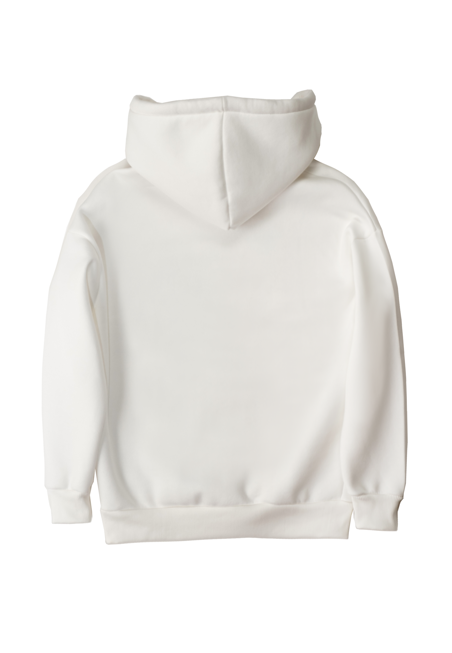 Hoodie "Bears playing football"