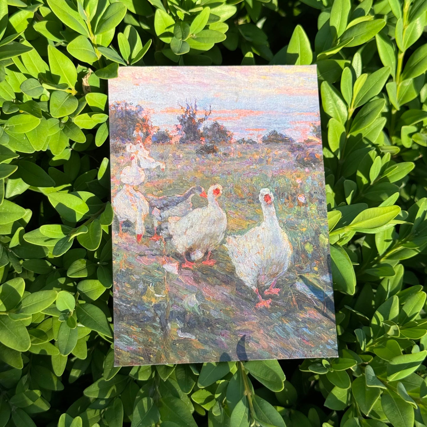 Magnet "Geese"
