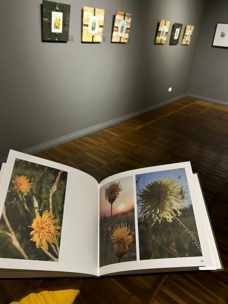 macroinsectarium and arthouse