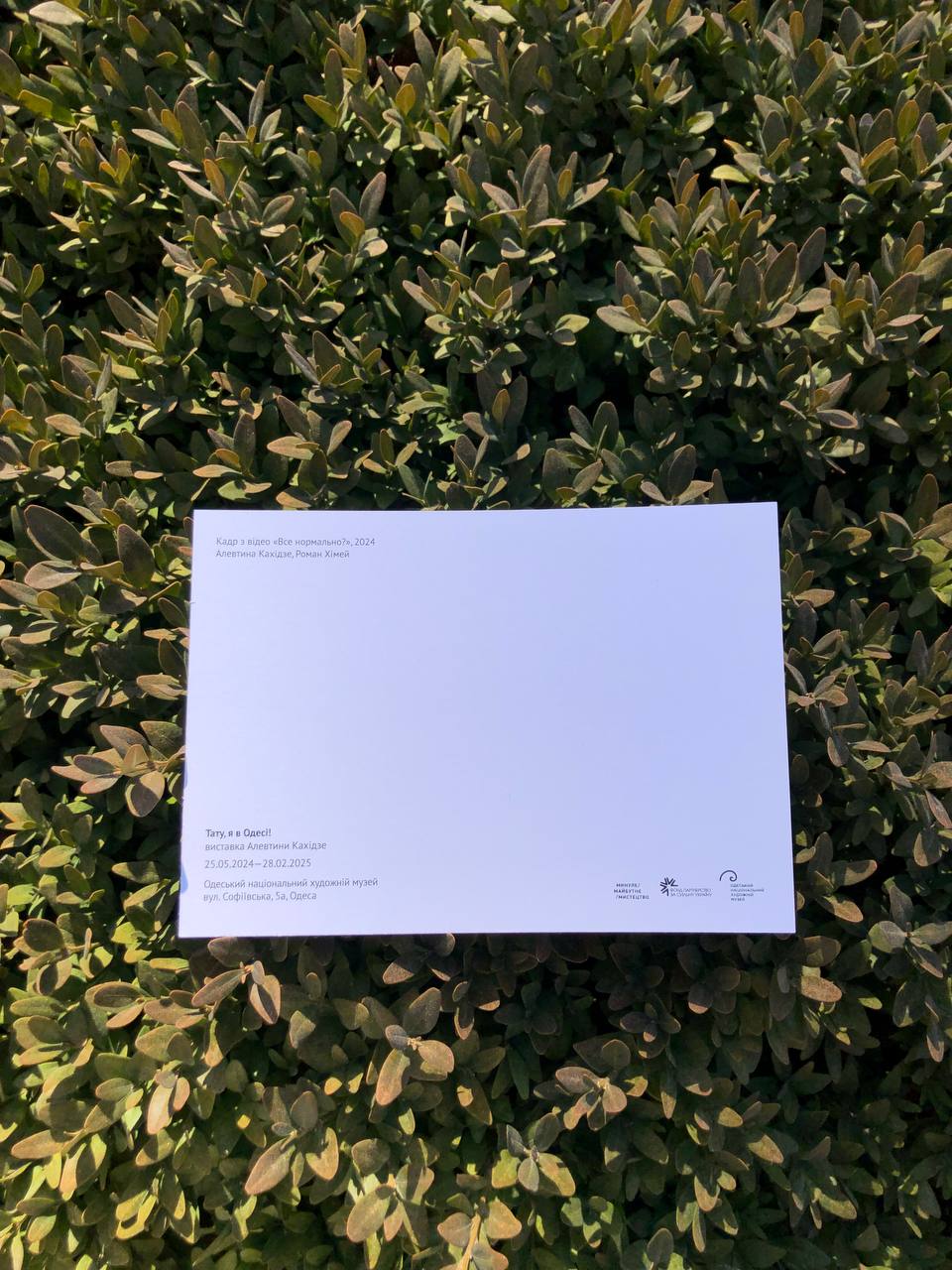 Листівка «Все нормально»