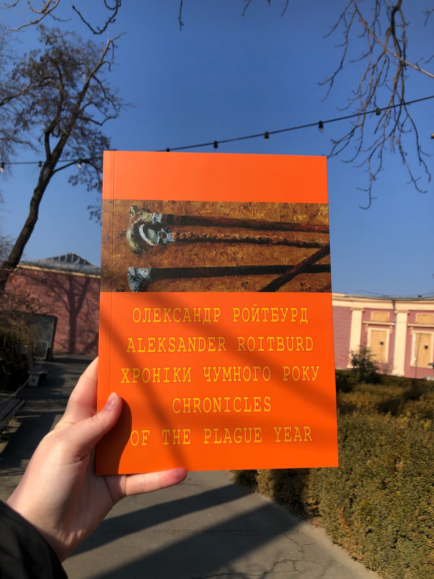 Книга Олександра Ройтбурда «Хроніки чумного віку»