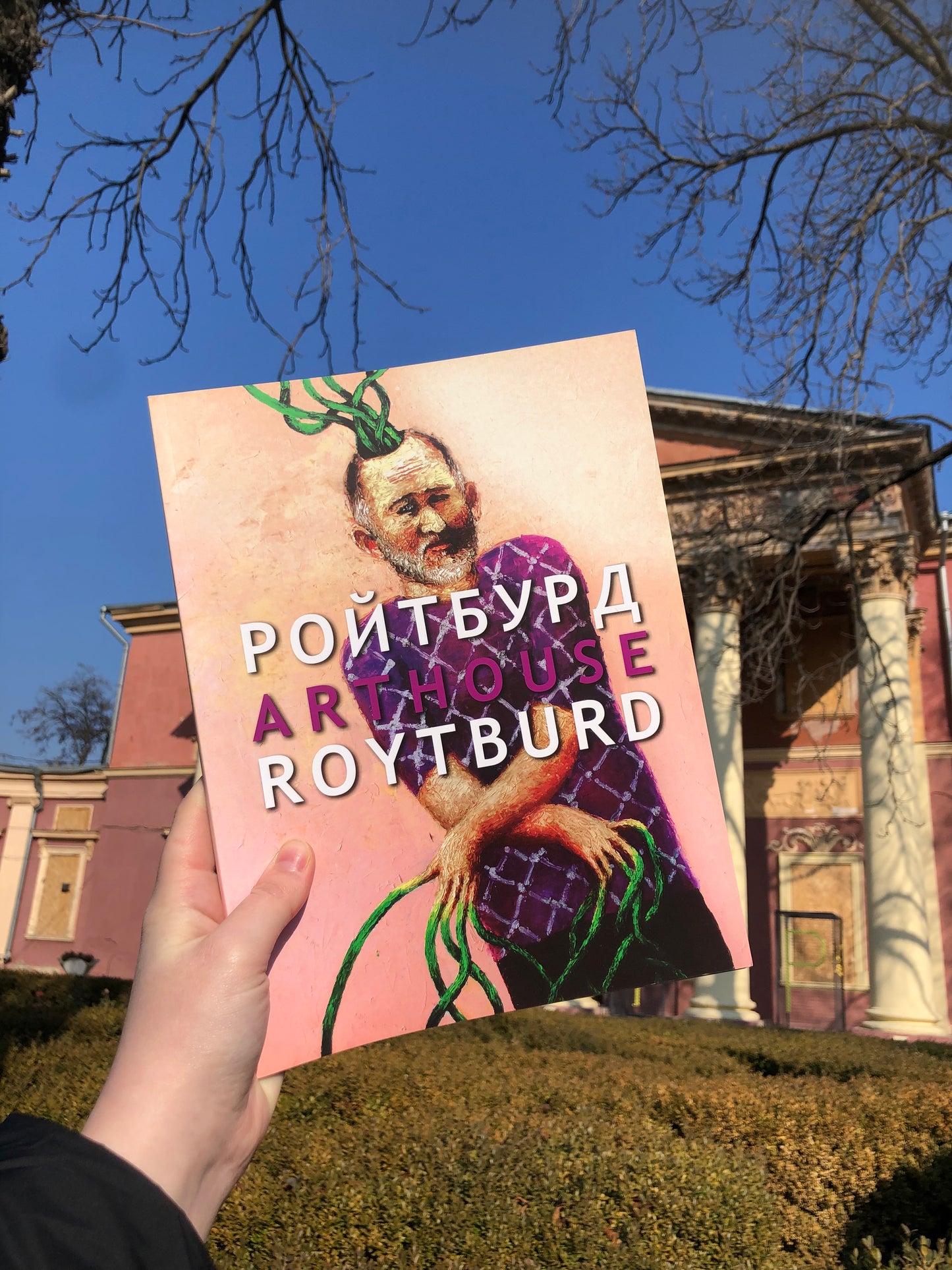Книга Олександра Ройтбурда «Артхаус»